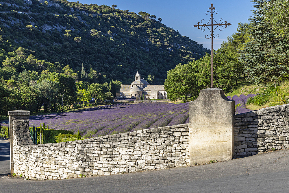 Gordes, Vaucluse, Provence-Alpes-Cote d'Azur, France. July 7, 2022. Lavendar at the S?nanque Abbey in Provence.