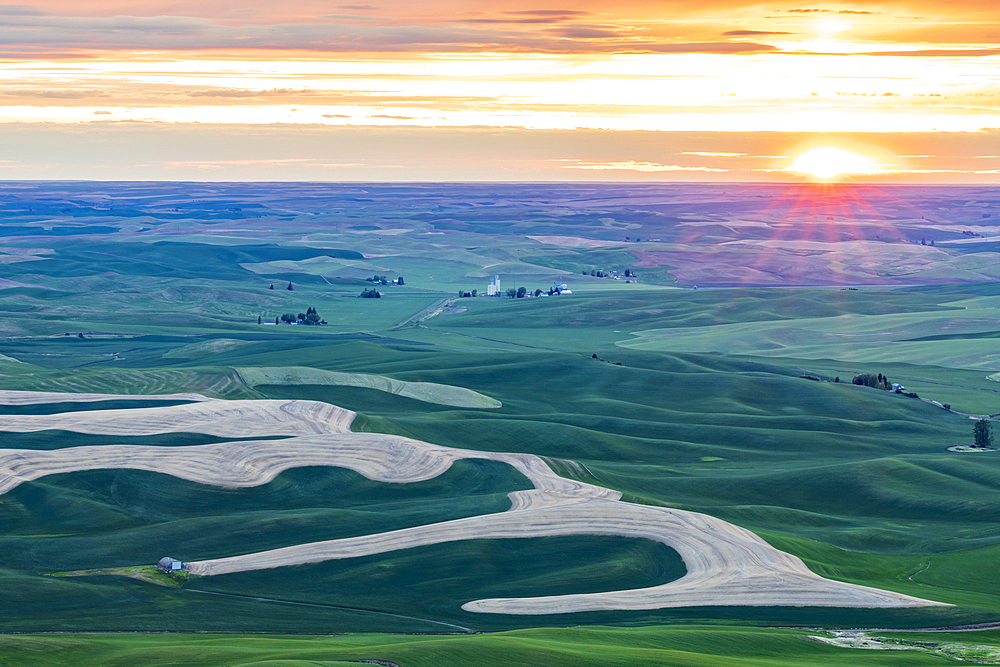 Steptoe Butte State Park, Washington, USA. Sunset view of wheat fields in the rolling Palouse hills.