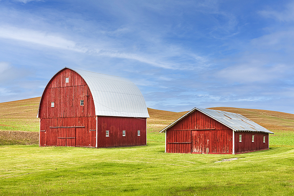 Albion, Washington, USA. May 23, 2021. Red barns in wheat fields in the Palouse hills. Editorial Use Only