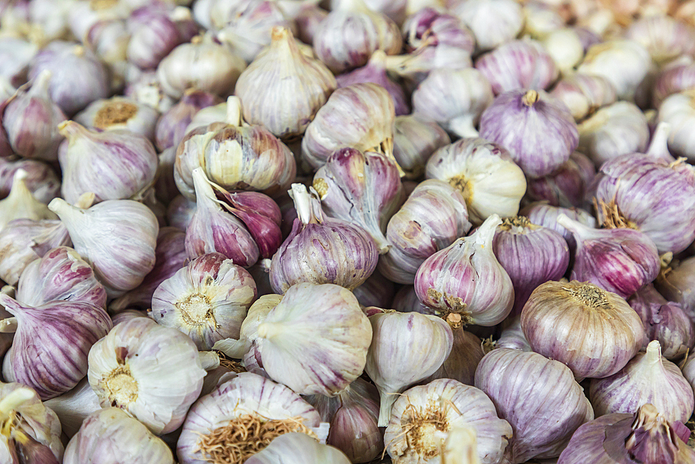 Dushanbe, Tajikistan. Garlic for sale at the Mehrgon Market in Dushanbe.