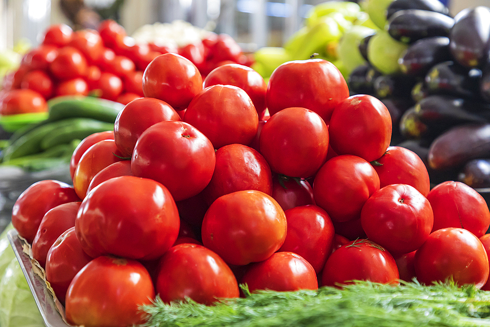 Dushanbe, Tajikistan. Fresh tomatoes for sale at the Mehrgon Market in Dushanbe.