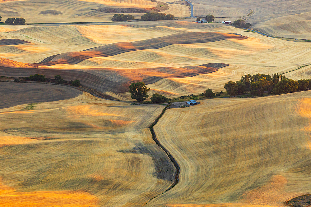 USA, Washington State, Whitman County. Palouse. Rolling fields and hills near Steptoe Butte.