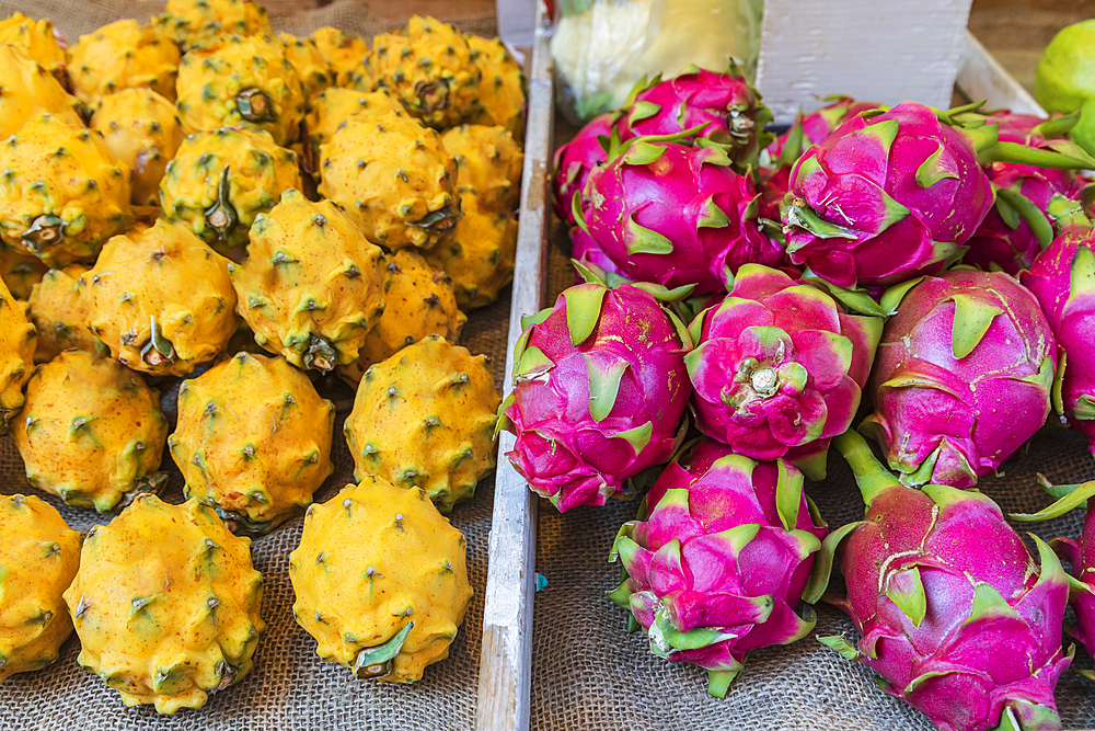 Chinatown, Manhattan, New York City, New York, USA. Red and yellow dragonfruit for sale in Chinatown.