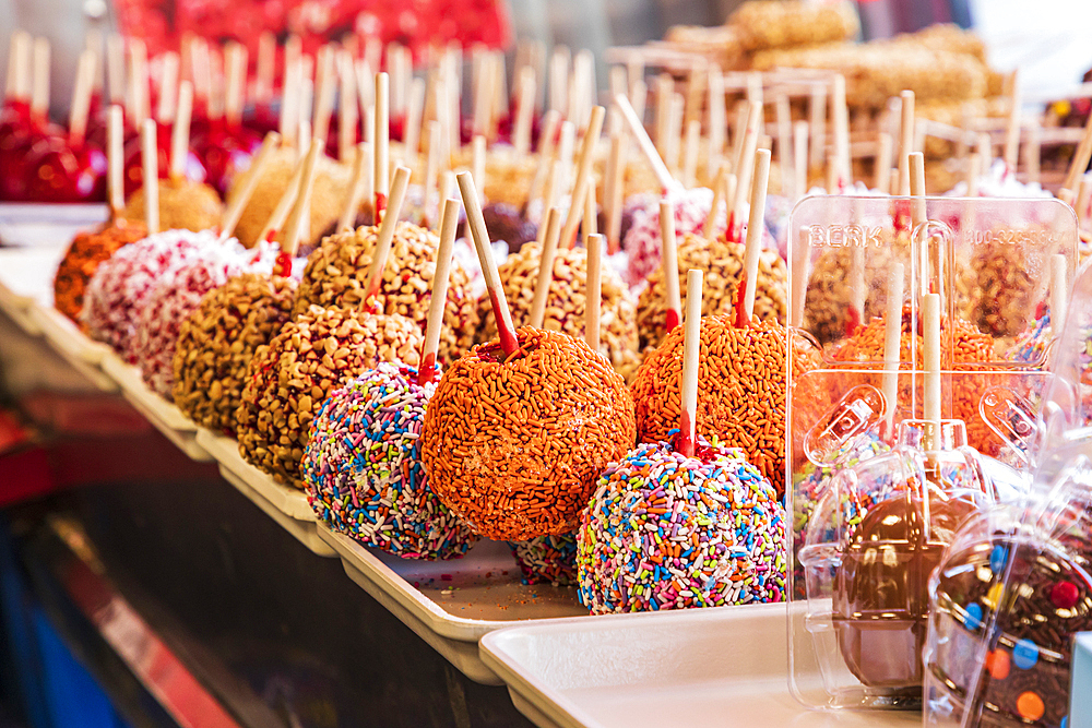 Coney Island, Brooklyn, New York City, New York, USA. Multi-colored candied apples for sale.