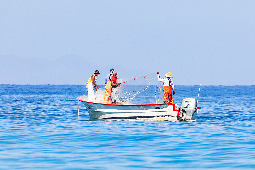 Playa El Tecolote, La Paz, Baja California Sur, Mexico. November 12, 2021. Fisherman pulling in a net on the Sea of Cortez.