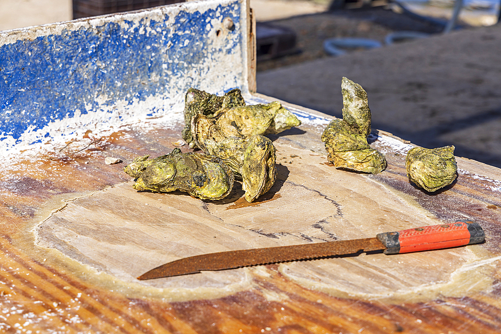 Guerro Negro, Mulege, Baja California Sur, Mexico. Oysters being served raw on the western coast of the Baja peninsula.