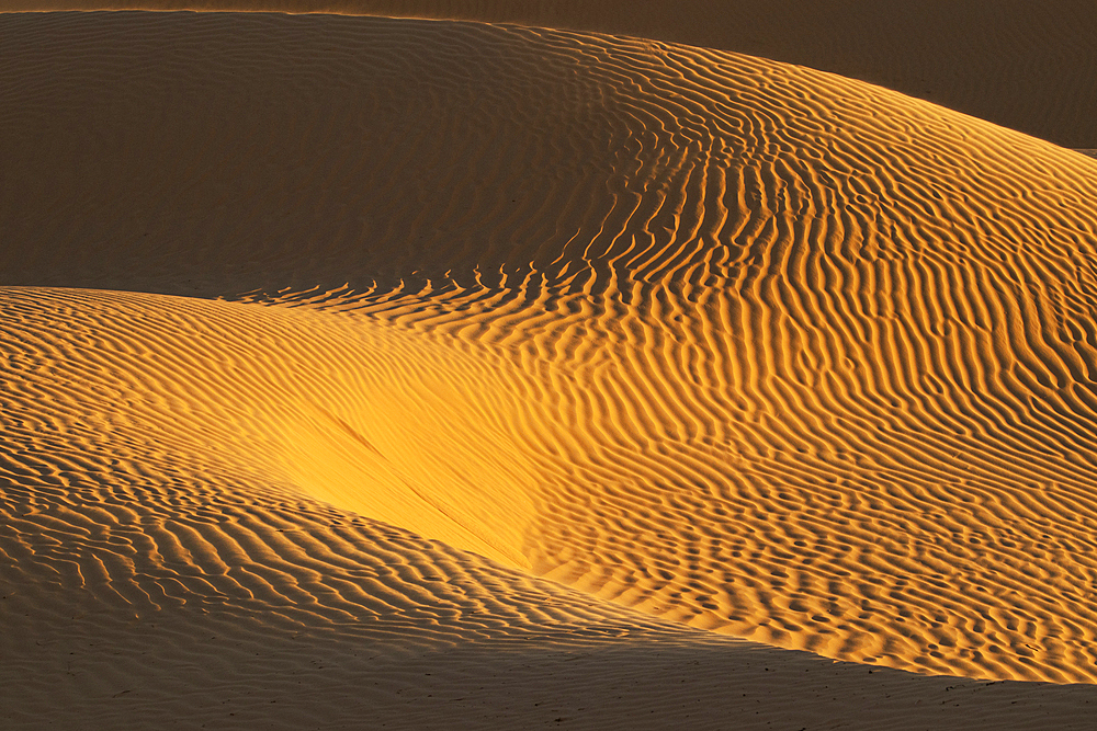 Spring sunset at the gates of the Sahara desert, with the sand dunes illuminated by the golden light, Tunisia, North Africa, Africa