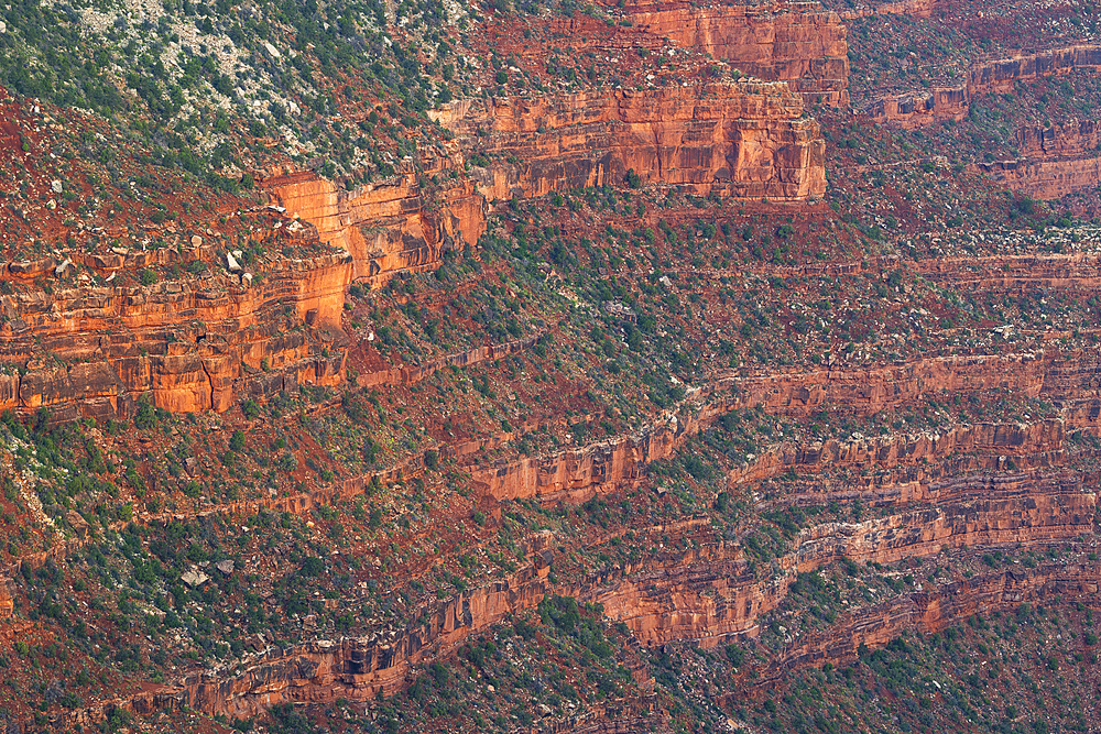 Detail of the rock walls of the Grand Canyon, on a summer day, UNESCO World Heritage Site, Arizona, United States of America, North America