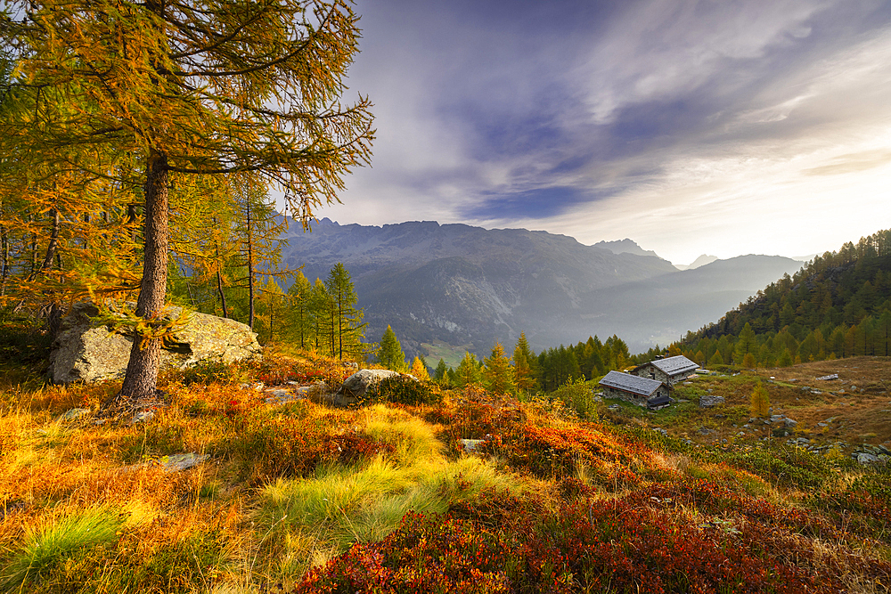 Alpine bivouac at Lagazzuolo lake at sunrise during autumn, Chiesa di Valmalenco, Sondrio, Lombardy, Italy, Europe