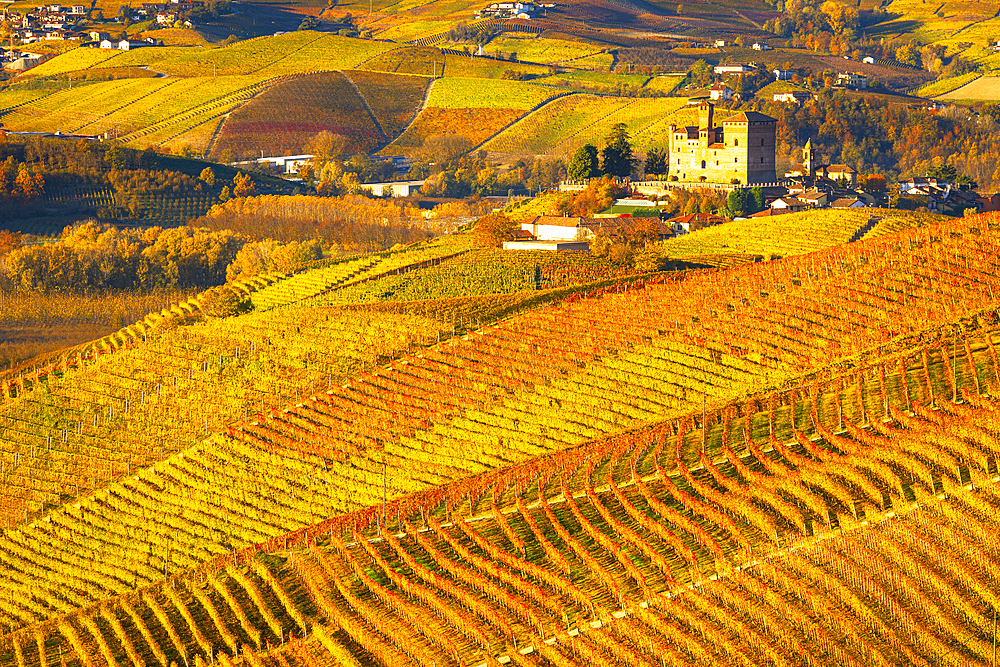 Beautiful view of the Grinzane Cavour Castle and vineyards, on an autumn day, UNESCO World Heritage Site, Cuneo province, Piedmont, Italy, Europe