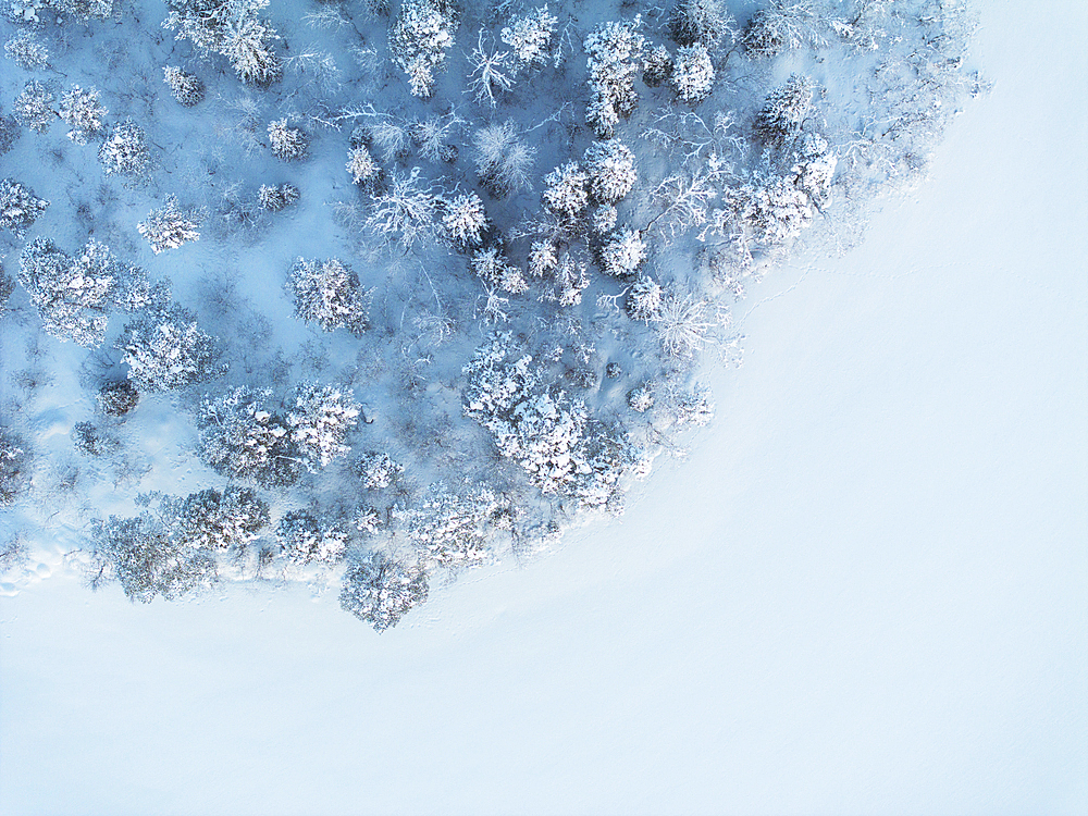 Aerial vertical view of a snow-covered lake with a trees, Muonio, Finland, Europe