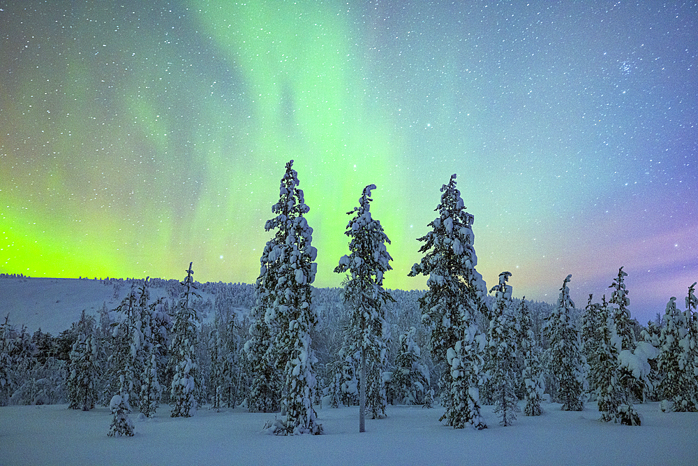 The Northern Lights (Aurora borealis) illuminate the sky near Luosto during a cold winter night, Luosto, Finland, Europe