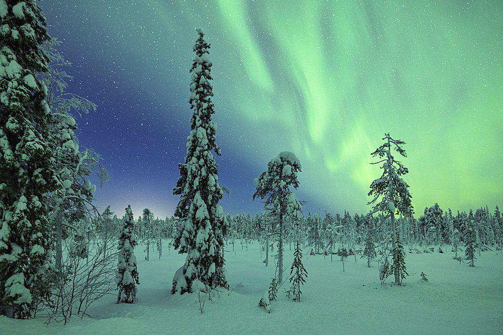 The Northern Lights (Aurora borealis) illuminate the sky near Luosto during a cold winter night, Luosto, Finland, Europe