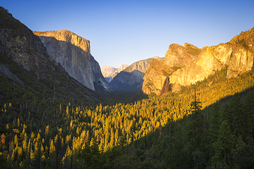 a beautiful view of El Captain and Yosemite Valley during a summer sunrise, California, United States of America