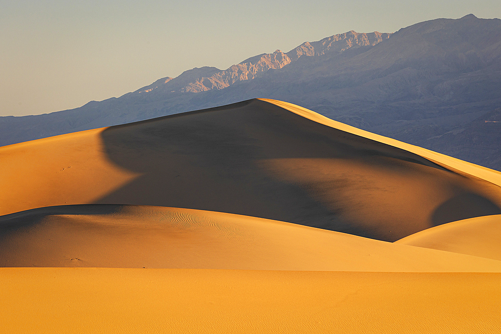 Warm light of the sunrise envelop the sand dunes at Mesquite Flat, Death Valley, California, United States of America, North America