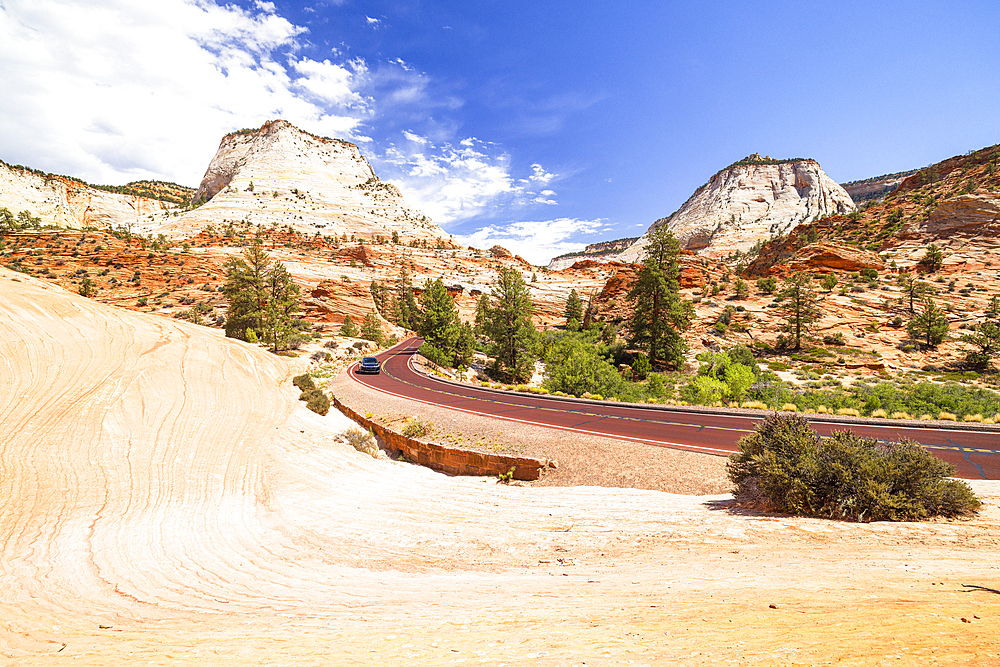 Car driving along scenic road in Zion National Park on a sunny summer day, Utah, United States of America