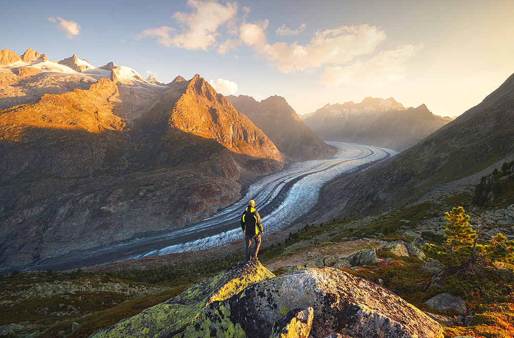 A trekker observes Aletsch Glacier during sunrise in summer, Riederalp, Oriental Raron, Valais, Switzerland, Europe