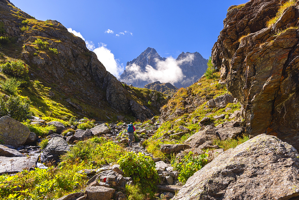 A trekker walks towards Fiorenza Lake in front of Monviso during summer, Pian del Re, Cuneo, Piedmont, Italy, Europe