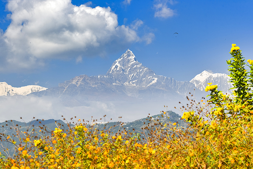 View of the Annapurna peaks from World Peace Stupa, Pokhara, Nepal, Himalayas, Asia