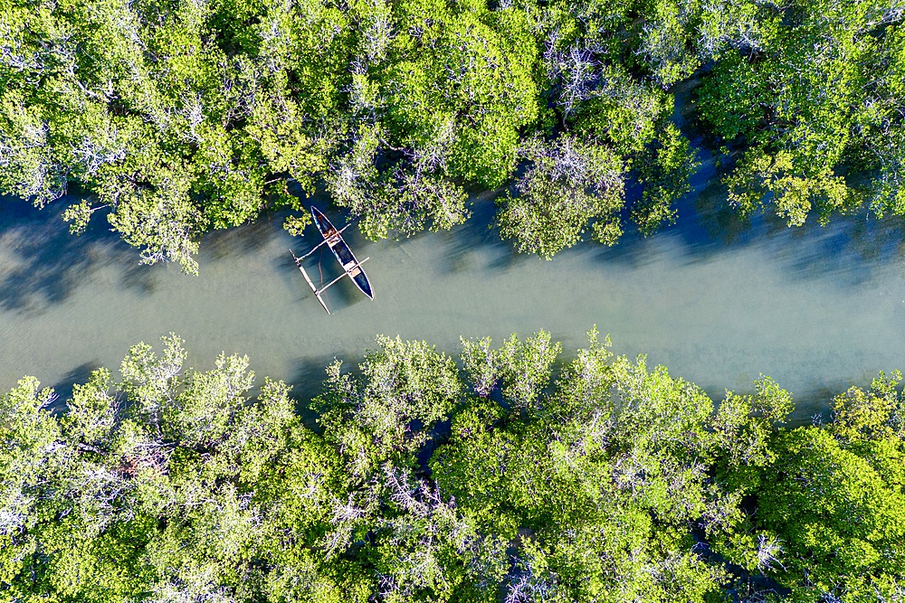 Bandrele Mangroves in the Mayotte Lagoon place known to be the place of Mama Shingos mean Salt Mama. Women extract salt from Mangroves Water to earn their life. It's a long and hard process.