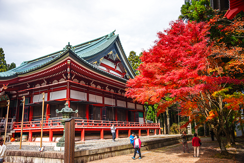 A scenic view of Enryaku-ji Temple, framed by vibrant red maple trees during the peak of autumn. This historic Buddhist site, situated on Mount Hiei, is a must-visit for its stunning natural setting and rich cultural significance.