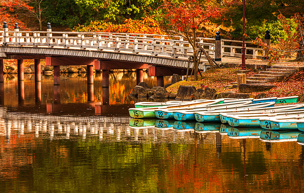 wooden bridge spanning Sagiike Pond creates a picturesque view, with boats and vibrant autumn leaves completing the serene landscape. Autumnal hues and colors in Japan