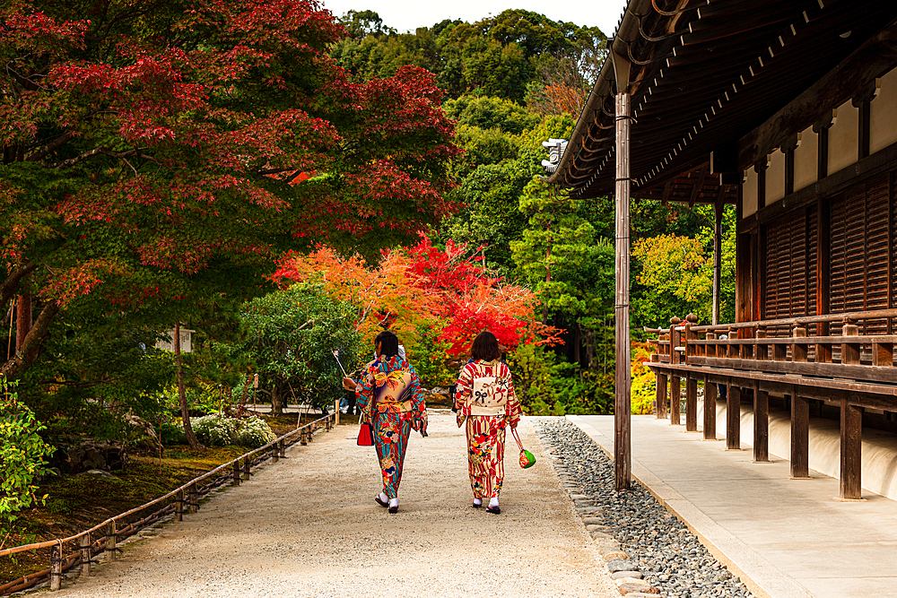 Two women in colorful kimonos walking through the autumn gardens of Tenryū-ji Temple in Kyoto, Japan, surrounded by vibrant fall foliage