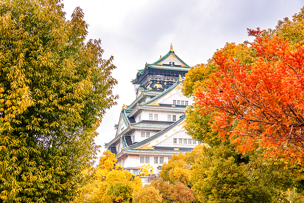 Autumnal Foliage framing the Osaka Castle Main Tower in Japan