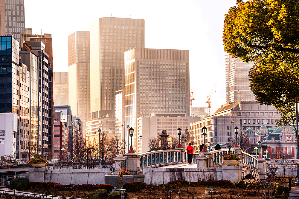 Nakanoshima in Osaka, Japan. A green Island park in the center of Osaka. Golden evening light views over bridges and warm illuminated skyscrapers