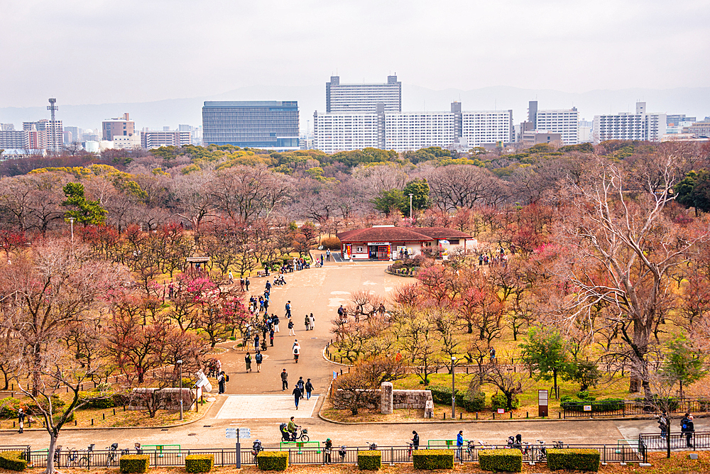 Overlooking the winter park Forest of Memorial Trees, Ōsakajōkōen, Osaka Castle, Osaka, Kansai, Japan