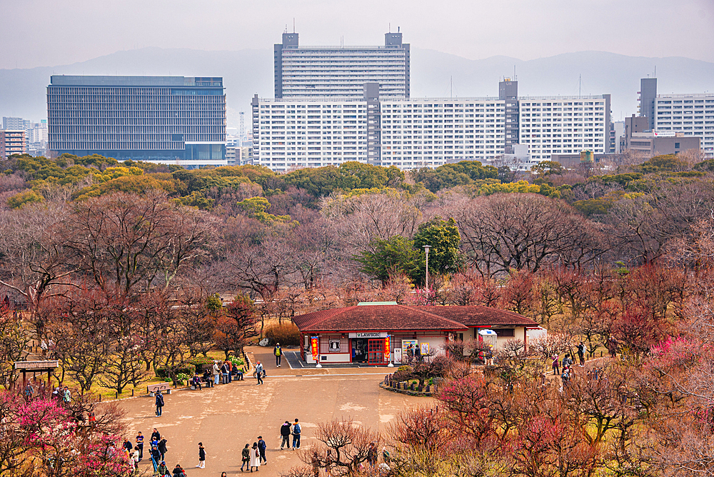 Overlooking the winter park Forest of Memorial Trees, Ōsakajōkōen, Osaka Castle, Osaka, Kansai, Japan