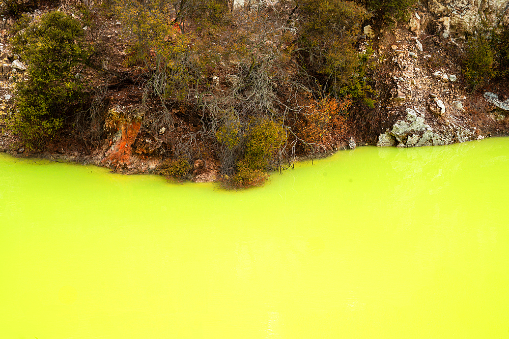 Toxic green waters of Lake Ngakoro, Waiotapu Thermal Wonderland , New Zealand