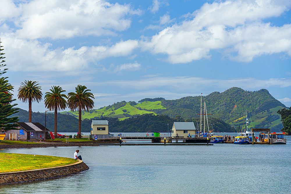 Summer day in the little port of Whitianga, Coromandel Peninsula, North Island, New Zealand, Pacific