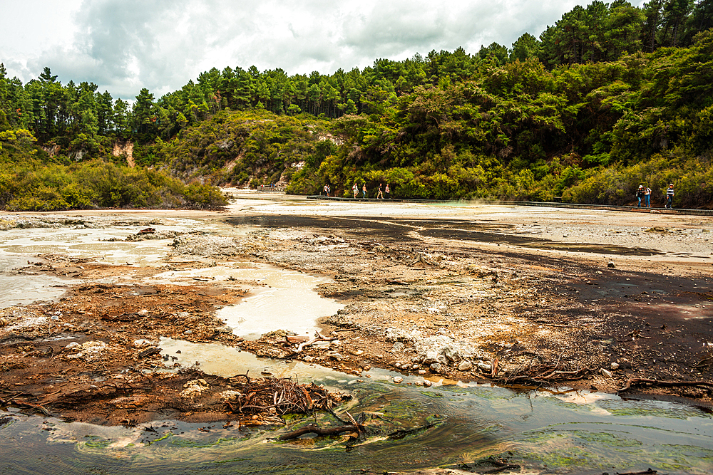 Waiotapu Thermal Wonderland, North Island, New Zealand