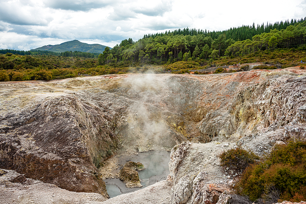 Waiotapu Thermal Wonderland, North Island, New Zealand. Views of steaming craters on the Waiotapu Thermal Track