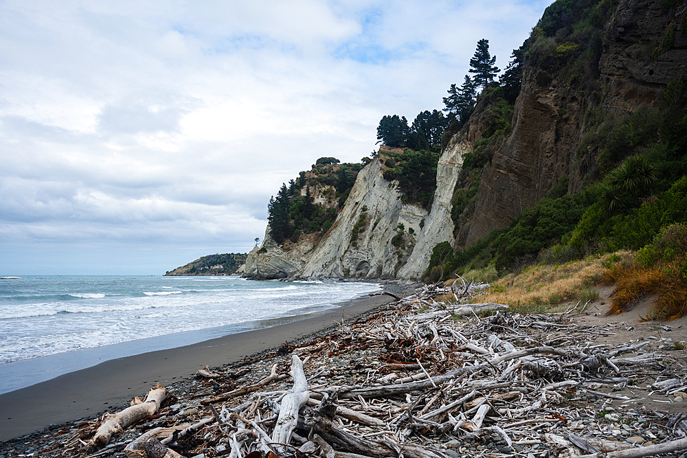 Coastal driftwood-strewn beach beneath dramatic limestone cliffs at Gore Bay Beach, South Island, New Zealand