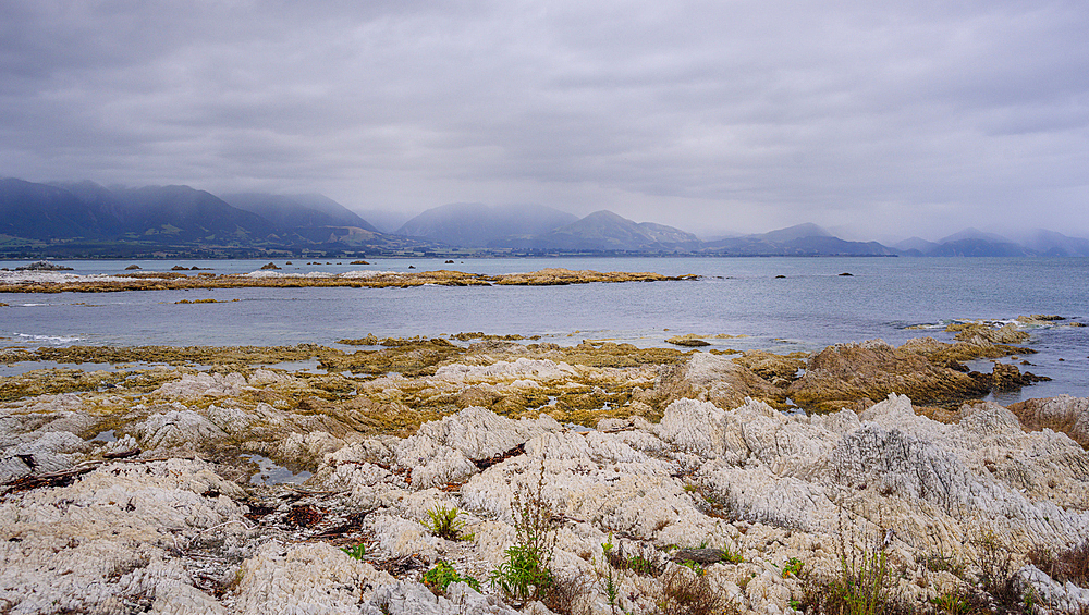 Tidal rocky flats and calm sea with distant mountains at Kaikoura Peninsula, South Island, New Zealand