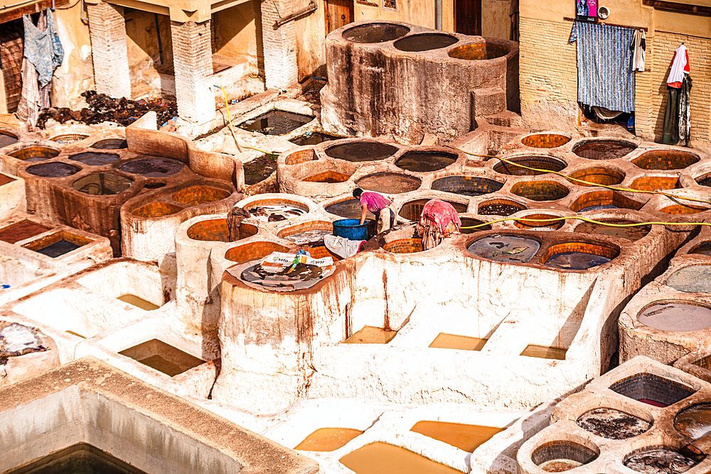 Women Working Over Rows of Whitewashed Dye Pits in the Morning Light at Chouara Tannery, Fes, Morocco