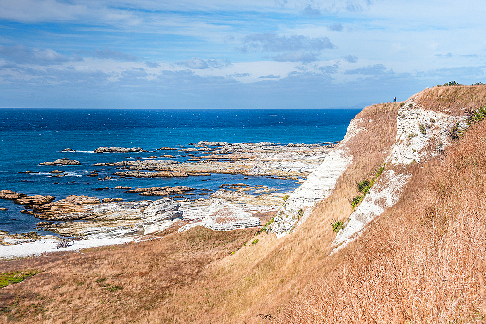 Point Kean Viewpoint. View of Rugged White Limestone Cliffs and Blue Sea at Kaikoura Peninsula, New Zealand
