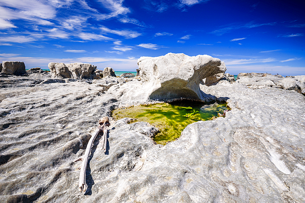 Striking Limestone Rock Formation Eroded by Wind and Sea on Ward Beach, Marlborough, New Zealand