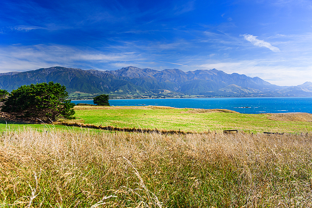Rolling Grasslands Meeting the Turquoise Coastline with Seaward Kaikoura Range in the Background, New Zealand