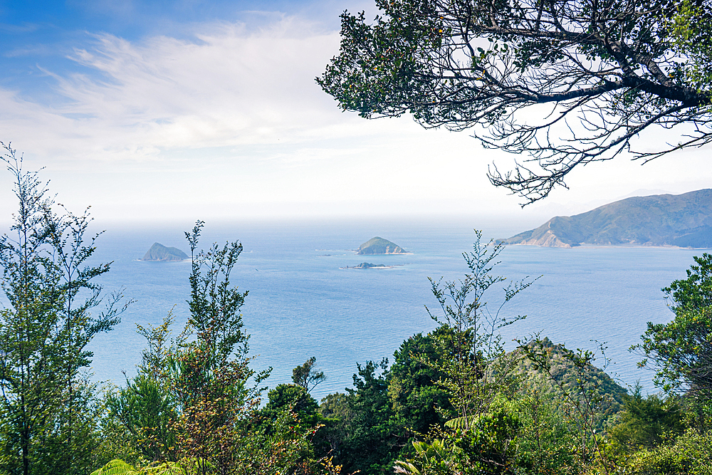 View of Offshore Islands and Serene Blue Sea Through Coastal Vegetation from Port Underwood Road, Marlborough Sounds, New Zealand