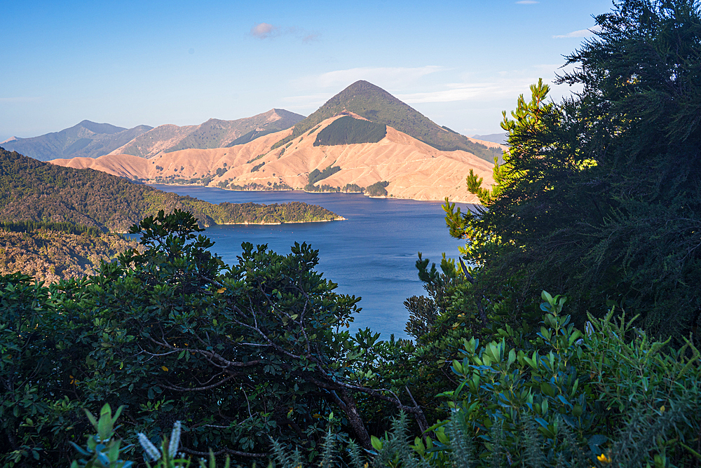 Bush-Framed View of Sunlit Peaks and Sparkling Water in Queen Charlotte Sound, Marlborough Sounds, New Zealand