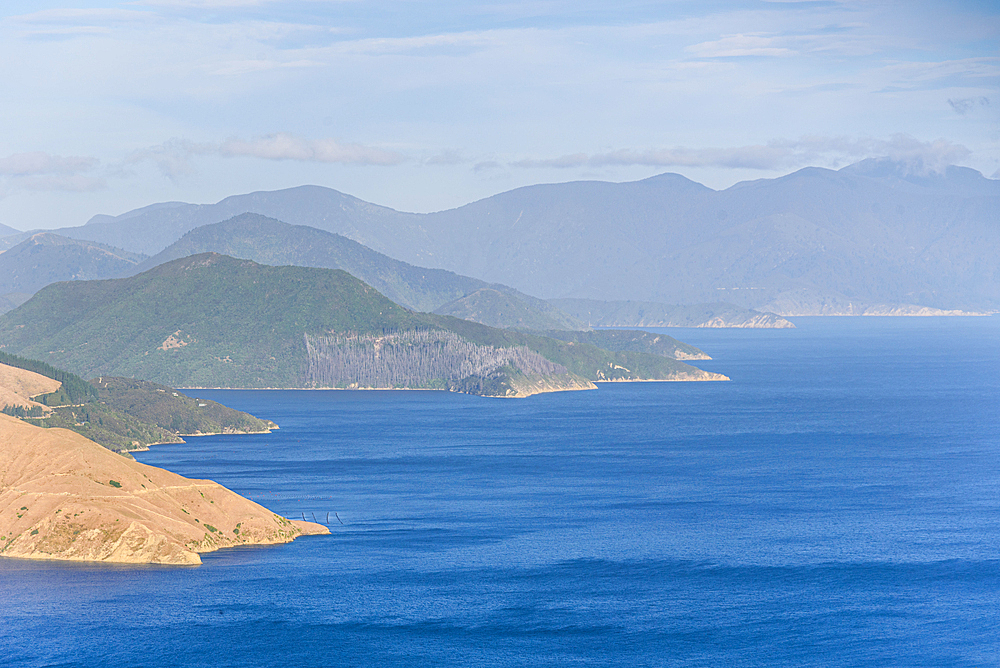 Sweeping View Over Admiralty Bay with Rolling Hills and Forested Peninsulas on the Road to French Pass, Marlborough Sounds, New Zealand