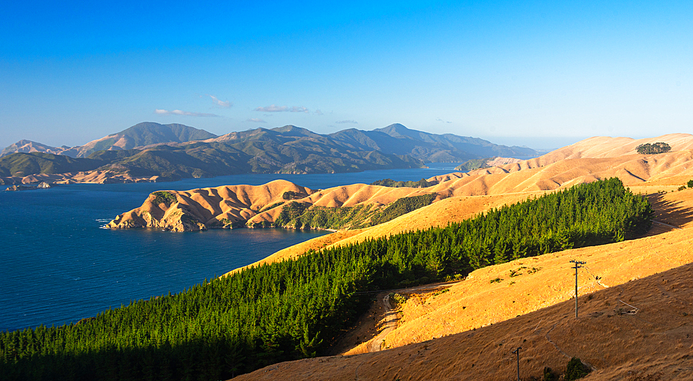 Lush Native Forests and Coastal Headlands Overlooking D’Urville Island Across Admiralty Bay from French Pass, Marlborough Sounds, New Zealand