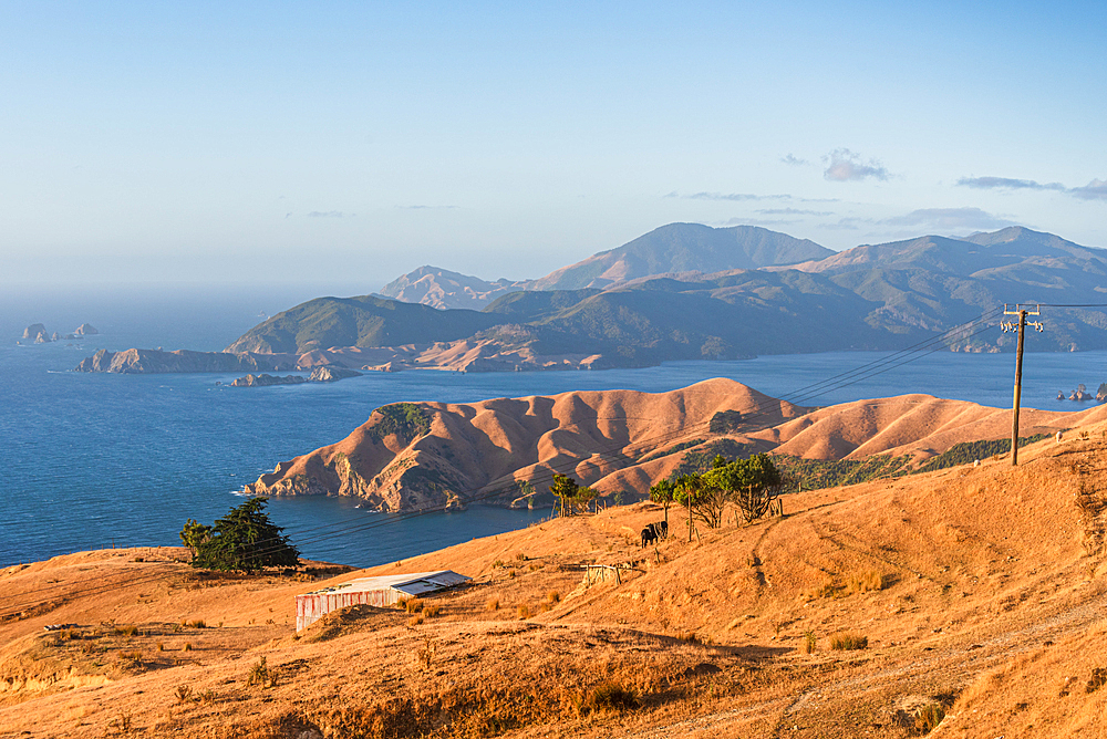 Golden Hills and d’Urville Island Seen from Remote Ridge Above French Pass with Cape Jackson in the Distance, Marlborough Sounds, New Zealand