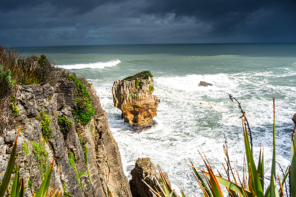 Isolated Limestone Stack and Windswept Vegetation Overlooking Rough Sea at Pancake Rocks, Punakaiki, New Zealand
