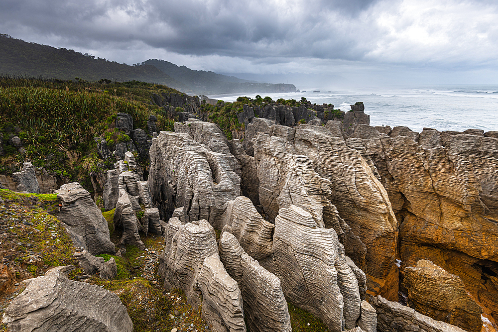 Eroded Coastal Rock Columns of Pancake Rocks Rising Above Native Vegetation, Paparoa National Park, New Zealand