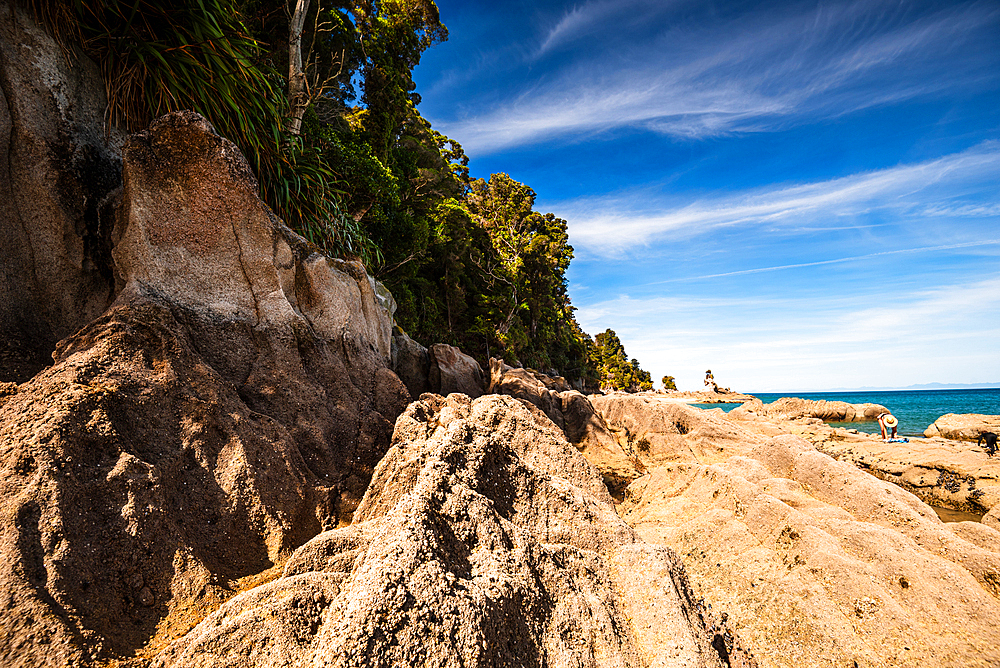 Textured Coastal Rocks and Forest Edge at Low Tide, Abel Tasman National Park, South Island, New Zealand