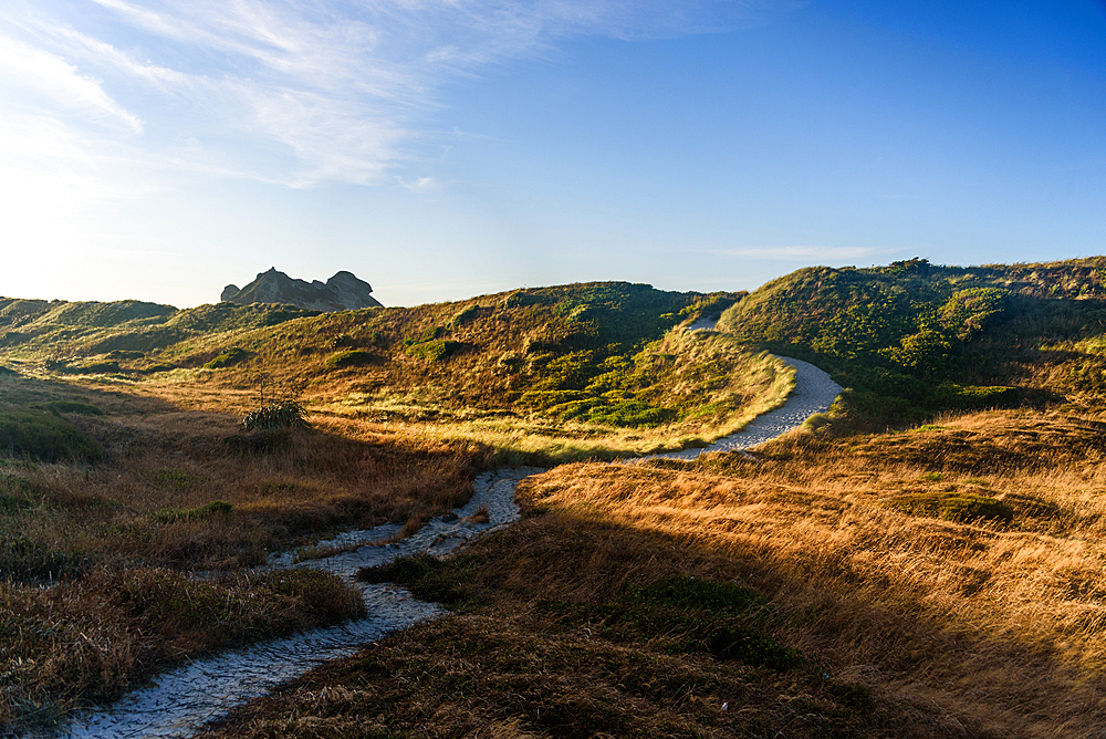 Mountain Trail at Sunset Illuminating Grassy Ridge and Distant Peaks, South Island, New Zealand